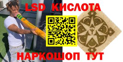 хмурый Кингисепп