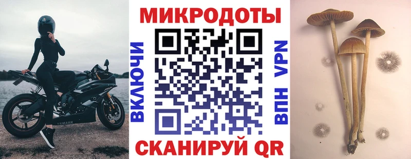 Псилоцибиновые грибы Magic Shrooms  Норильск 