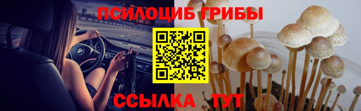 Галлюциногенные грибы мухоморы Норильск